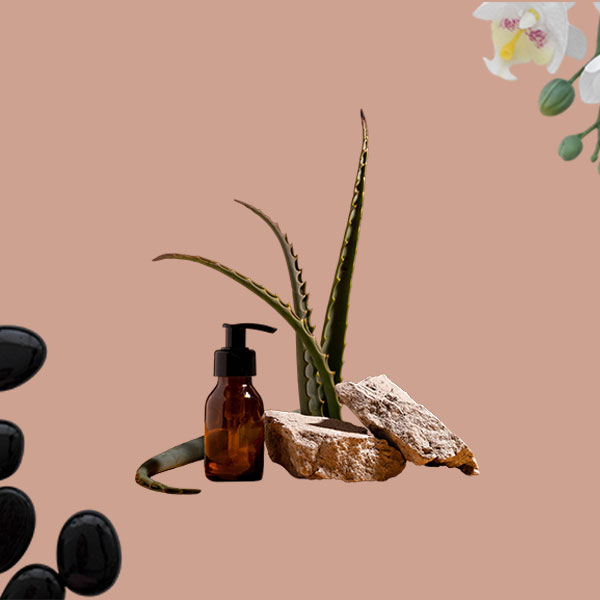 herbalist arrangement